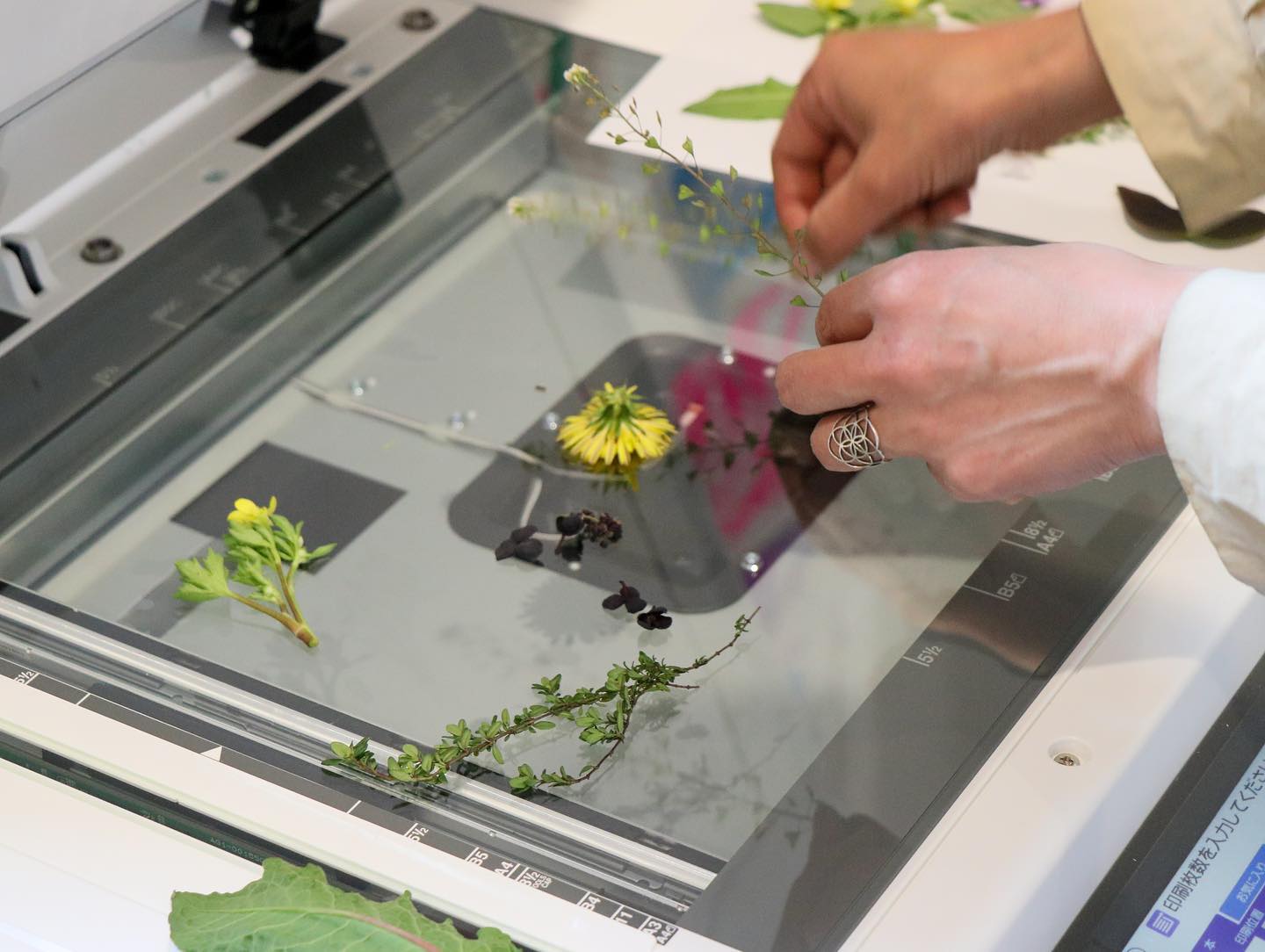 草花のコラージュで作るグリーティングカードとスワッグ・ Botanical Card Workshop