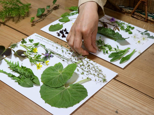 草花のコラージュで作るグリーティングカードとスワッグ・ Botanical Card Workshop